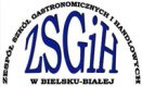 zsgih_logo